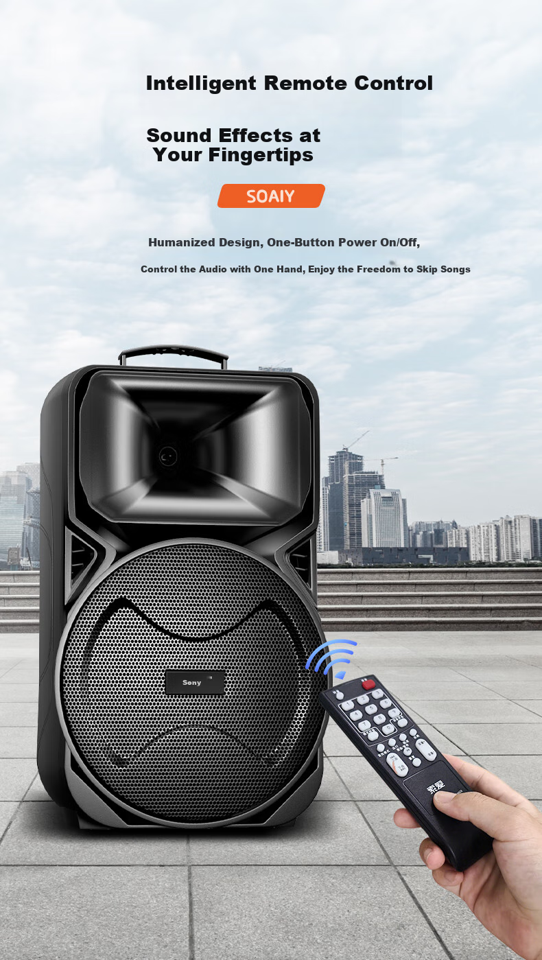 Портативная колонка Soaiy A89WM, 12 дюймов, с двумя микрофонами, Bluetooth, USB, AUX, для караоке и вечеринок, черный