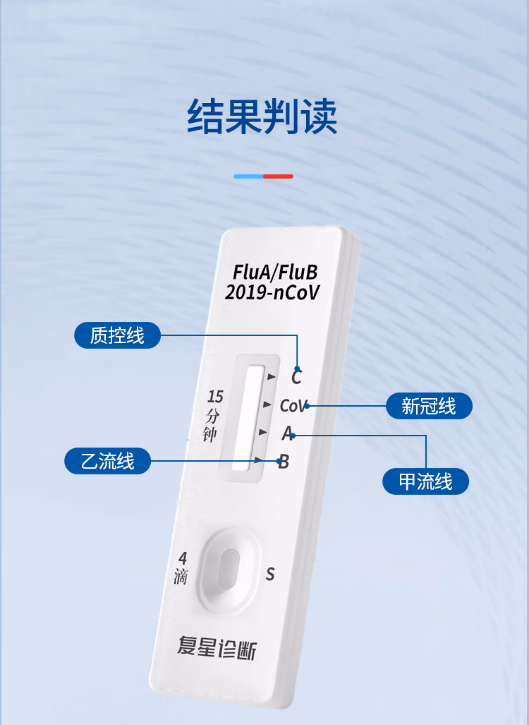 031d6c49245649b6.jpg.avif