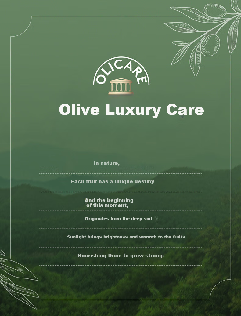 Подгузники-трусики Jiaying Olive Luxury Pull-Up Diapers, размер 3XL, 56 штук (16-18 кг)