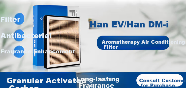 Салонный фильтр Aolin для BYD Han EV/Han DM-I