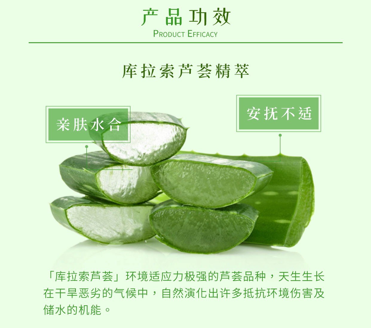 我的美丽日记（MY BEAUTY DIARY）沙地芦荟纾缓面膜 晒后纾缓 润泽呵护 台湾进口 8片/盒