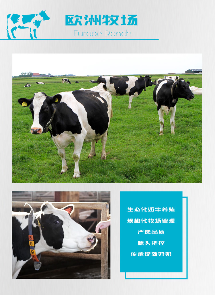 了欧洲牧场Europe Ranch生蠢仕奶牛养殖规詻仕牧场會理严选品质源头把控传承促鼠好奶-推好价 | 品质生活 精选好价