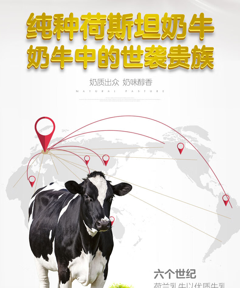 大液奶详情页1L_04.jpg