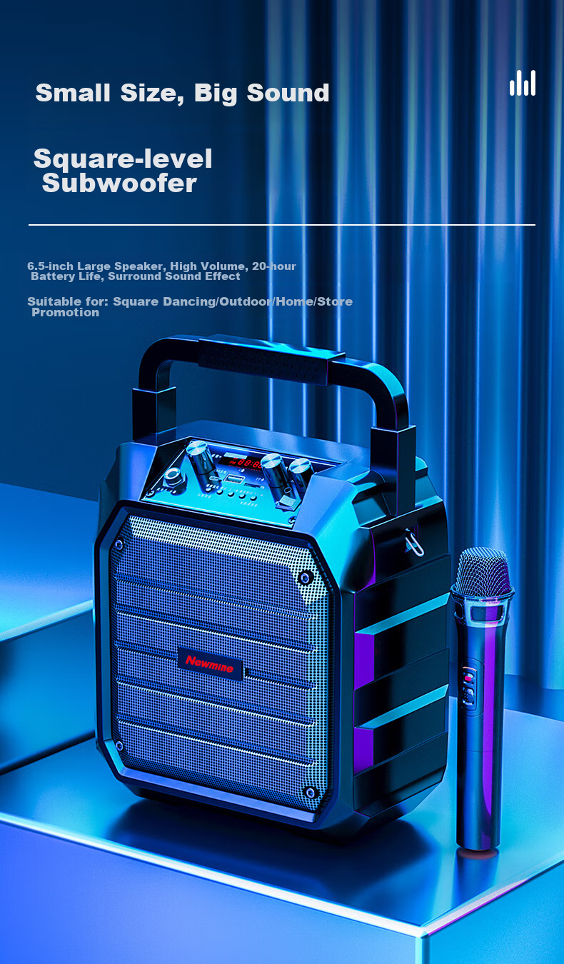Беспроводная Bluetooth-колонка Newmine K98, портативная, с двумя микрофонами, радио, для уличных выступлений и домашнего использования