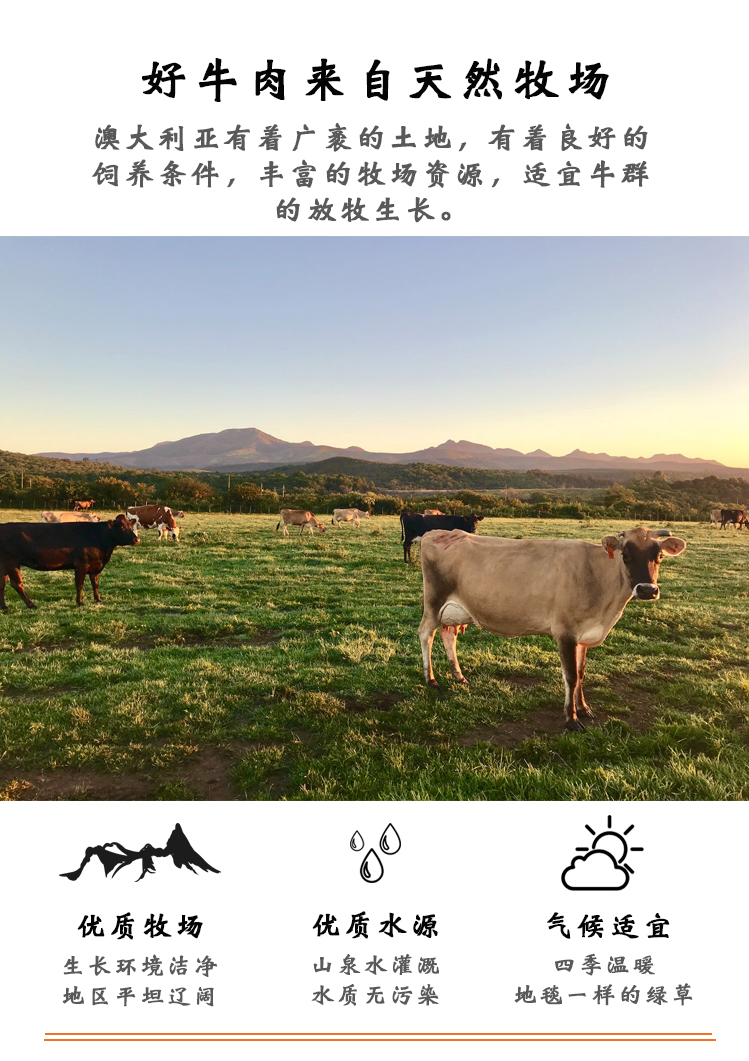 好牛肉来自天然牧场澳大利亚有着广袤的土地,有着良好的饲养条件,丰富的牧场资源,适宜牛群的放牧生长优质牧场优质水源气候适宜生长环境洁净山泉水灌溉四季温暖地区平坦辽阔水质无染地毯一样的绿草-推好价 | 品质生活 精选好价