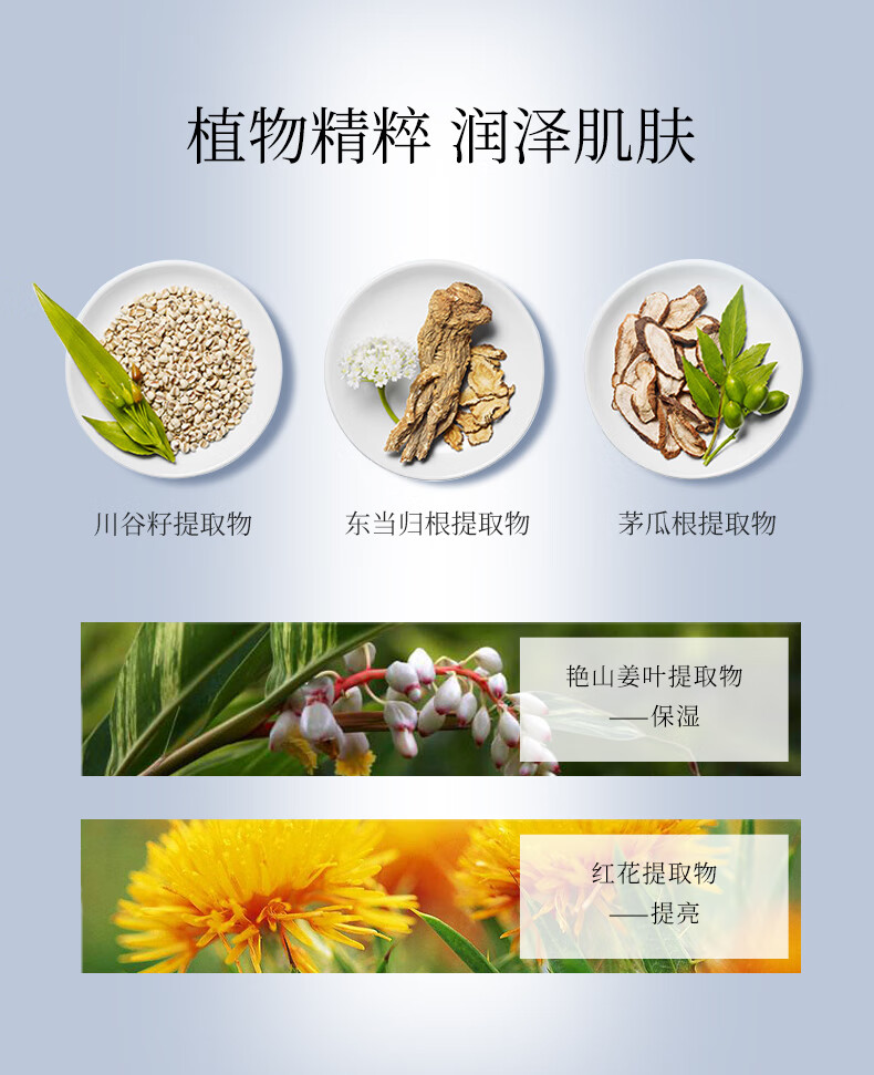 雪肌精SEKKISEI 美白BB霜01 30g SPF40+PA+++ 保湿遮瑕 温和防晒