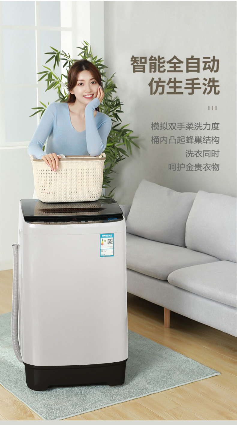 志高XQB55-2010洗衣机图片