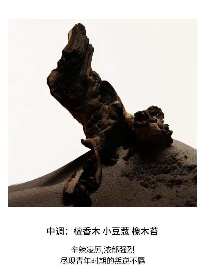 小城伊香脏话男士香水坏男孩雅痞持续淡香情人节礼物送男友古龙香水100ml