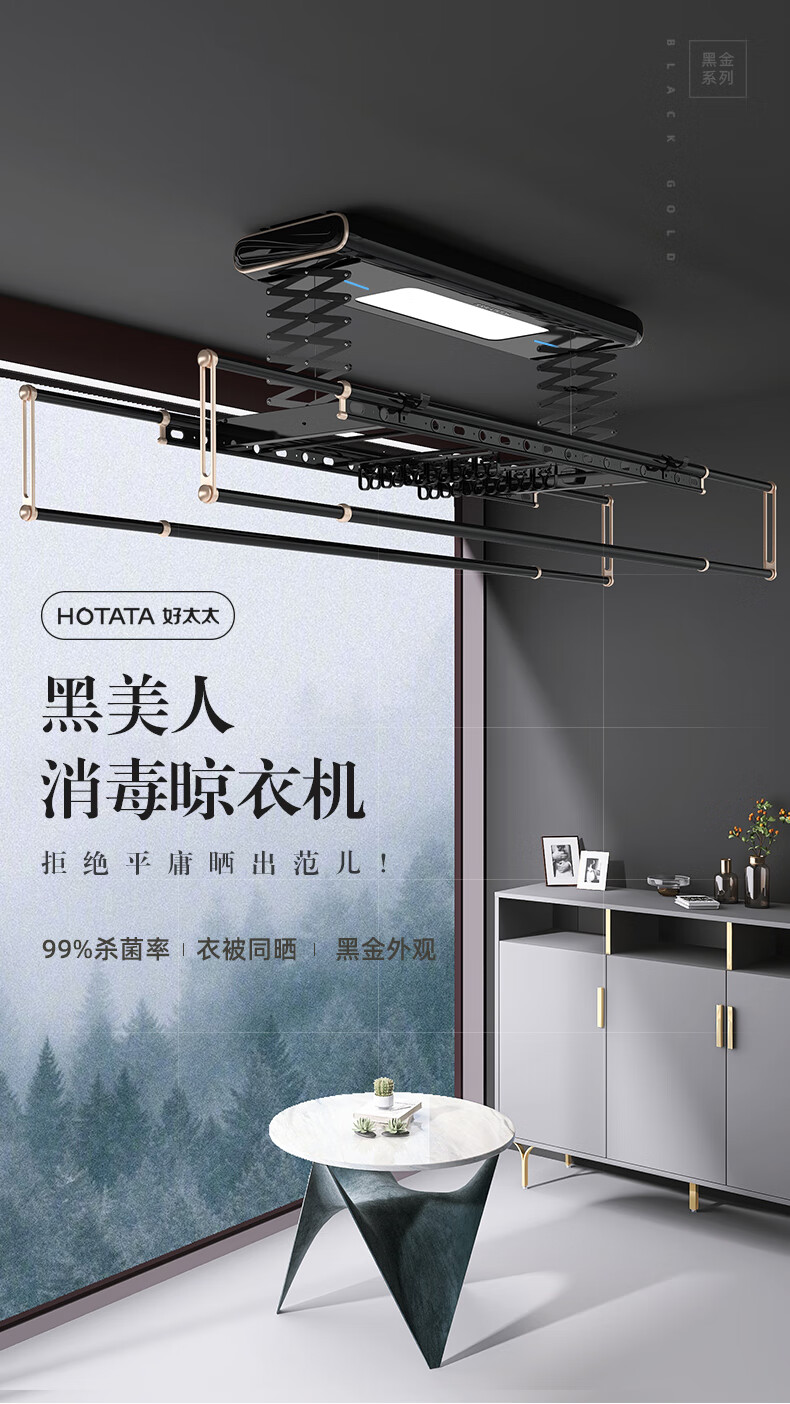 好太太电动升降晾衣架阳台室内智能晾衣杆家用母婴杀菌消毒晾衣架语音电动晾衣架杀菌衣架 D-3133