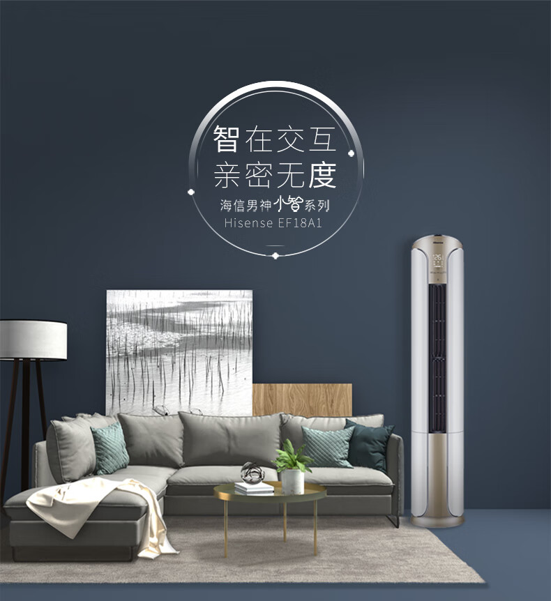 智在交互亲密无度海信男神小台系列Hisense eFla-推好价 | 品质生活 精选好价
