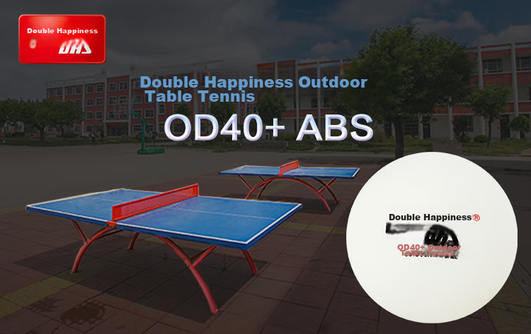 Мячи для настольного тенниса DHS Outdoor, набор для тренировок, 10 шт., белые