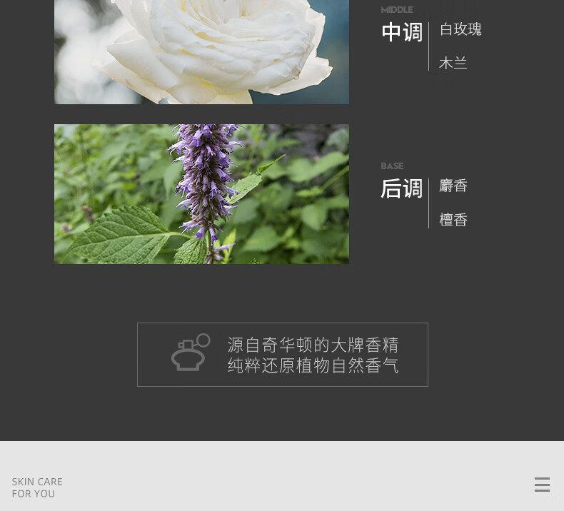杰威尔男士护手霜50g（手霜 保湿滋润 手部护理）