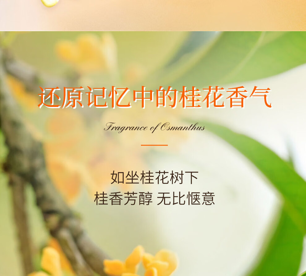 娜赛儿（LASTAR）法国香水桂花香女士淡香礼盒持久清新情人节生日礼物送女友