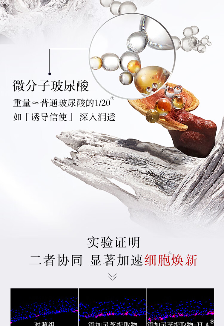 羽西灵芝新生水乳护肤礼盒（水150ml+乳液75ml）圣诞节礼物送女友
