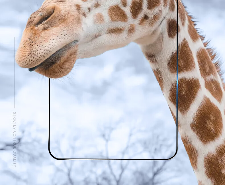 Защитное стекло BLUEO для iPhone 11/XR, прозрачное, противоударное, антиотпечатки, антиблик, 9H