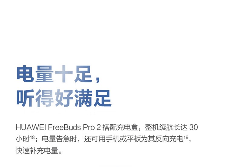 华为HUAWEI FreeBuds Pro 2 真无线蓝牙耳机 主动降噪 入耳式音乐耳机 苹果安卓手机通用（冰霜银）