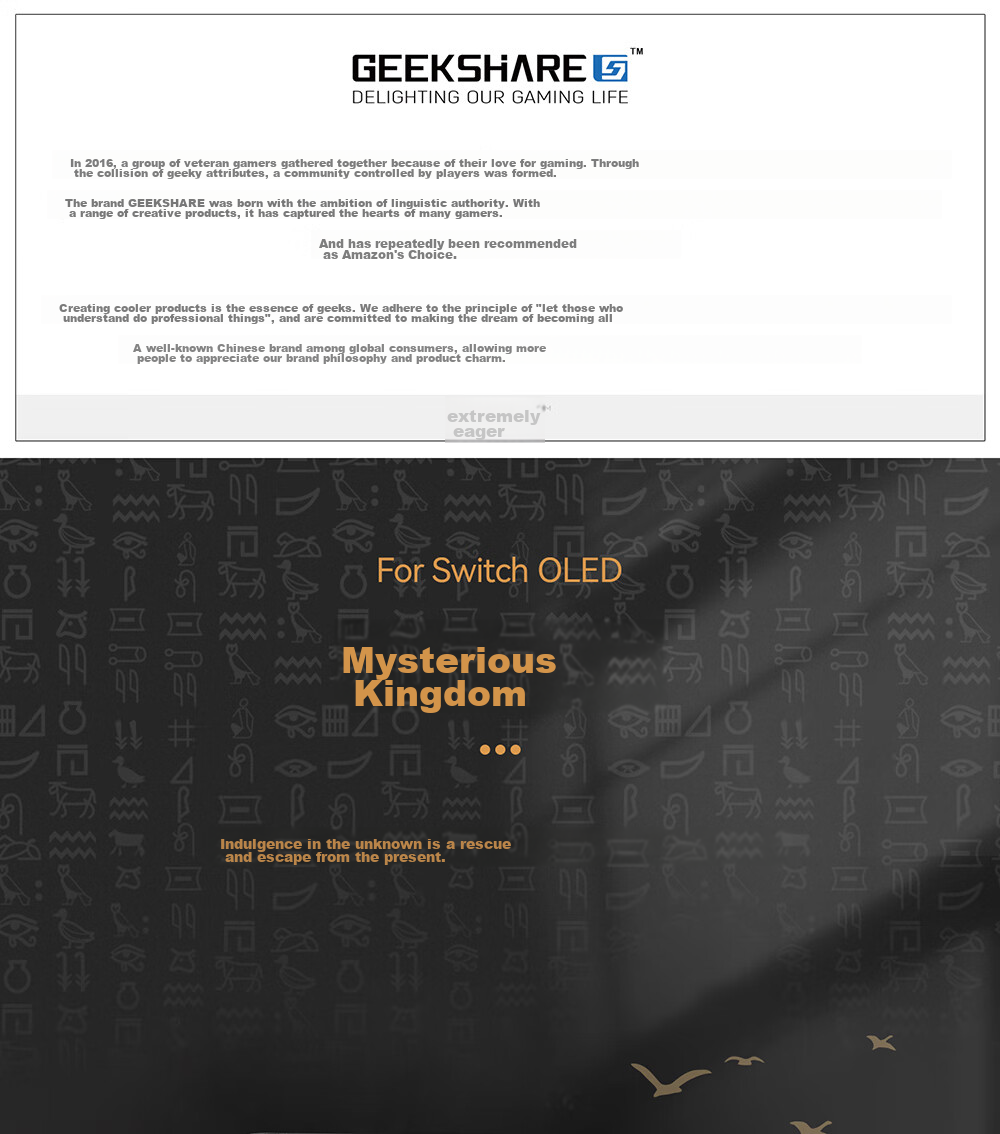 Защитный чехол для Nintendo Switch OLED