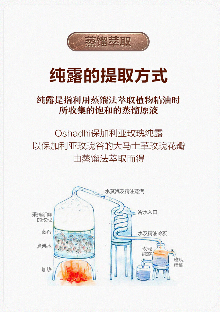 Oshadhi德国O家保加利亚大马士革玫瑰纯露237ml玫瑰水湿敷水爽肤水补水