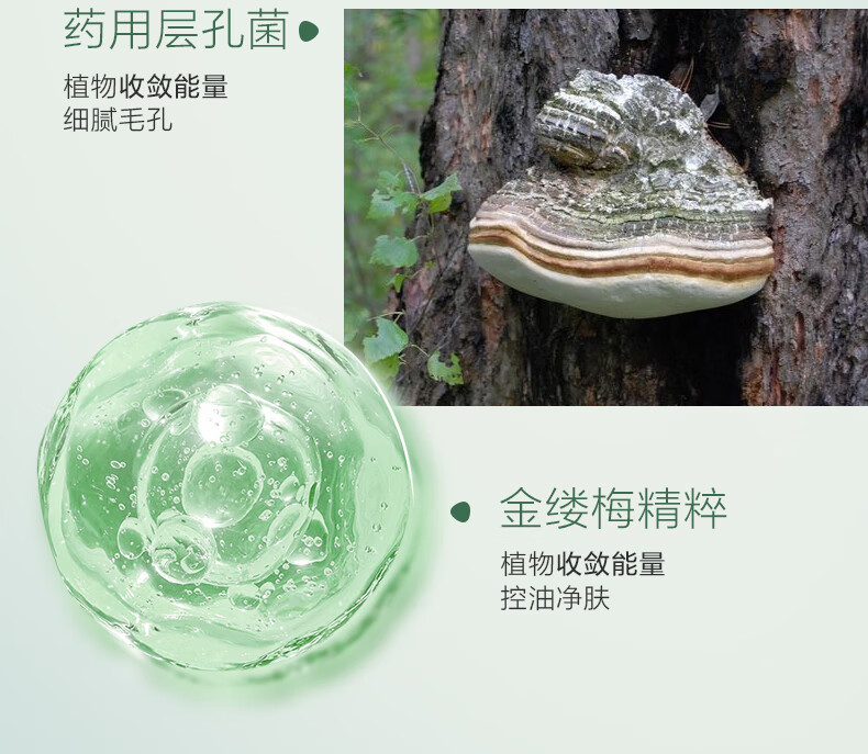 春纪（HARUKI） 魔鬼鱼 去黑头鼻贴套盒 清洁鼻头贴收缩毛孔黑头贴 温和收缩 10片/1盒