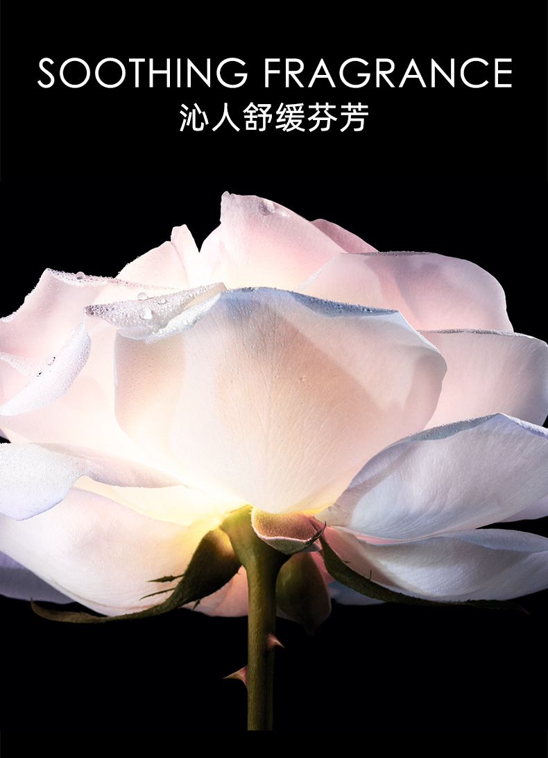 迪奥（Dior）花秘瑰萃玫瑰微凝珠赋活精华小粉钻10ml*1 非卖品，介意慎拍 补水保湿女士护肤品