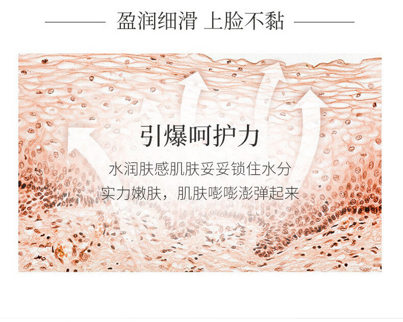 洛语杭希 抗皱嫩肤霜玛霜诗兰皱纹提拉紧致补水法令纹抬头纹男女20g 3支装