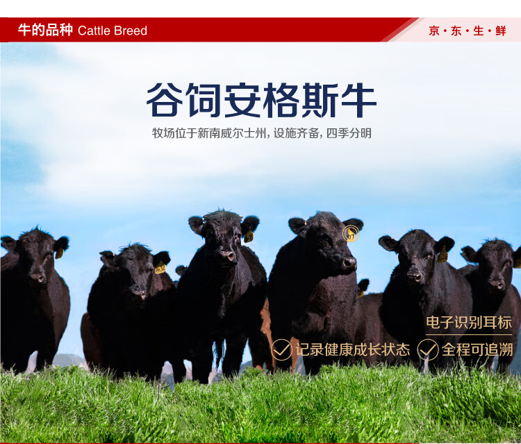 chefavour 雪菲 澳洲m3安格斯上脑原切牛排 200g