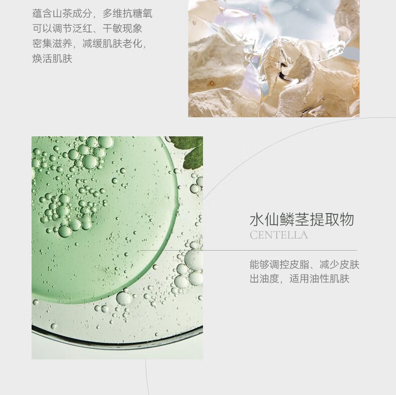 AOEO山茶花洗面奶氨基酸洗面奶深层清洁保湿补水清爽控油洁面乳 洗面奶60g