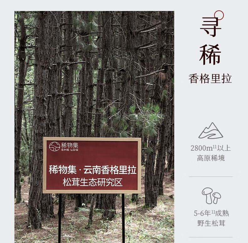 稀物集精华爽肤水100ml*2瓶+10ml*3到手230ml护肤水补水保湿护肤品男女