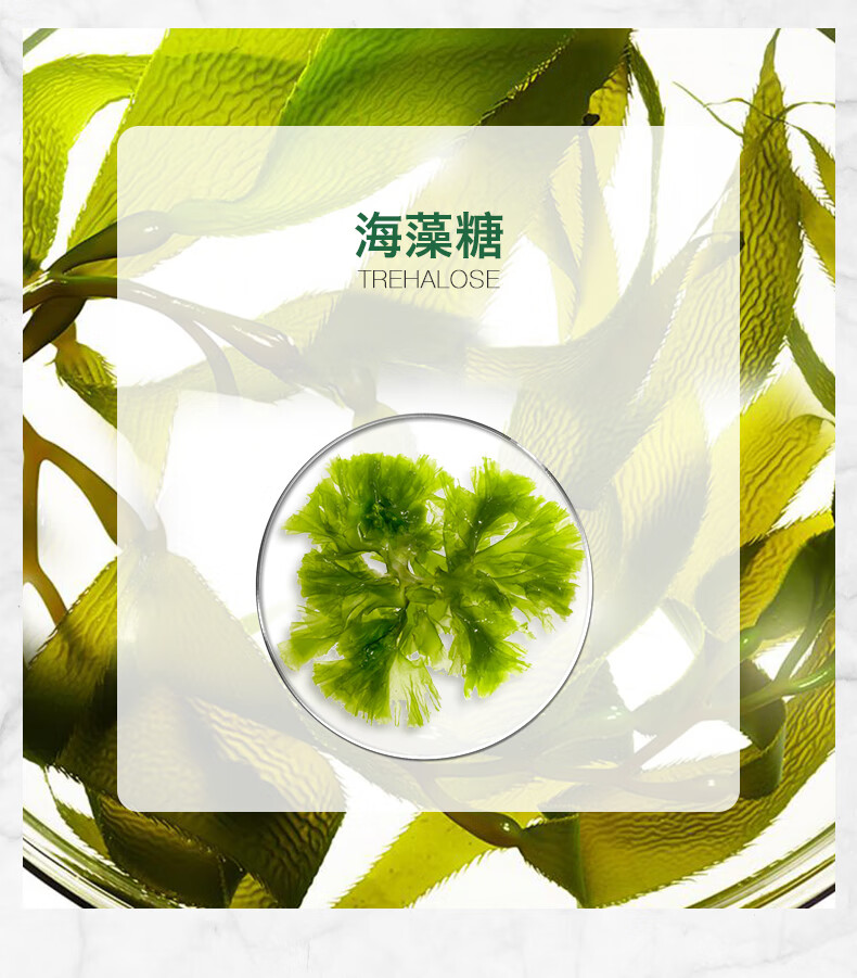 安安金纯 A'Gensn爽肤水丝瓜薏仁水500ml*2