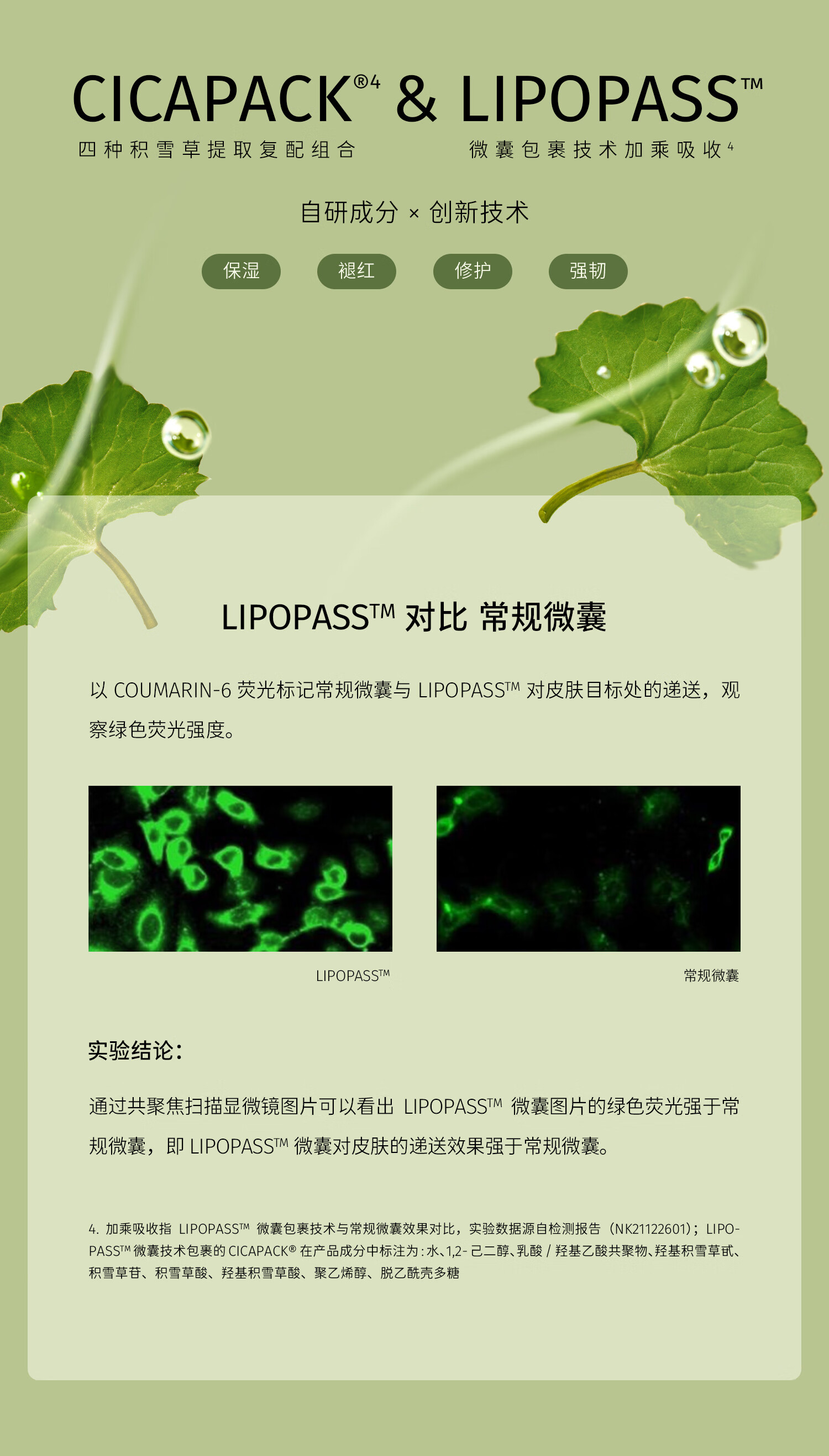 至本新版特安修护肌底精华液50ml 即效舒缓褪红保湿补水强韧肌底屏障