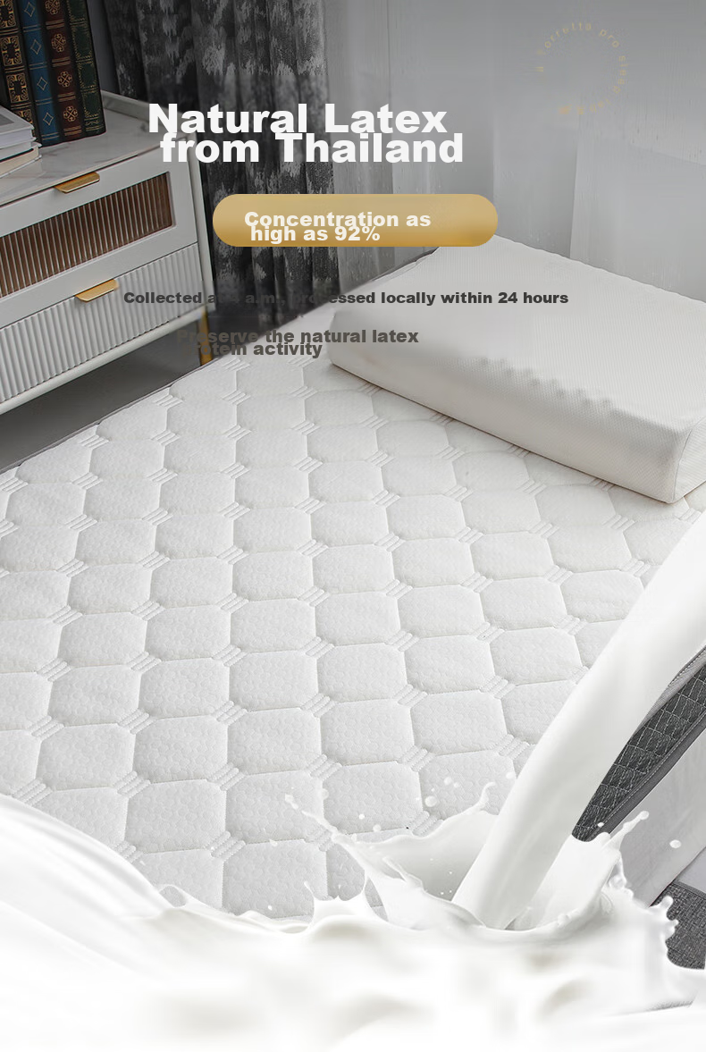 Наматрасник La Torretta Latex Student Mattress, 0.9м односпальный, антибактериальный, для общежития, мягкий, 1.2м