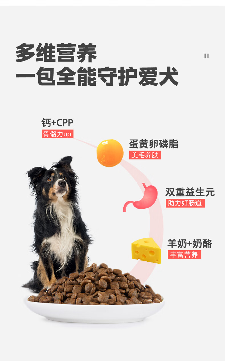 卫仕 小型犬泰迪比熊大型犬金毛拉布拉多营养通用型犬粮 卫仕京选食荟 犬粮12kg