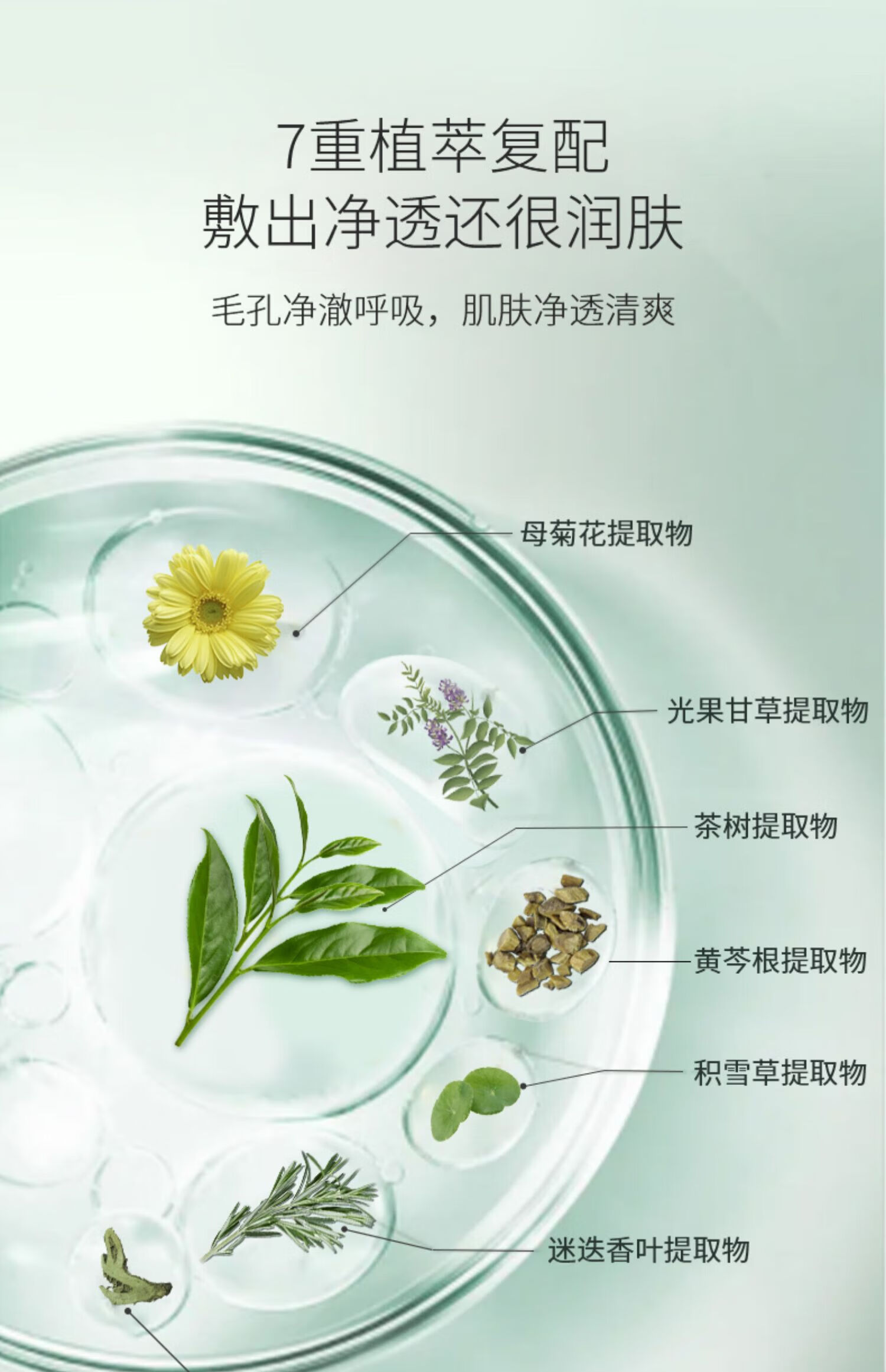 澳芙（AOFU） 茶树植物泥膜120g涂抹泥膜清洁收缩毛孔去涂抹面膜 茶树泥膜【两瓶装】