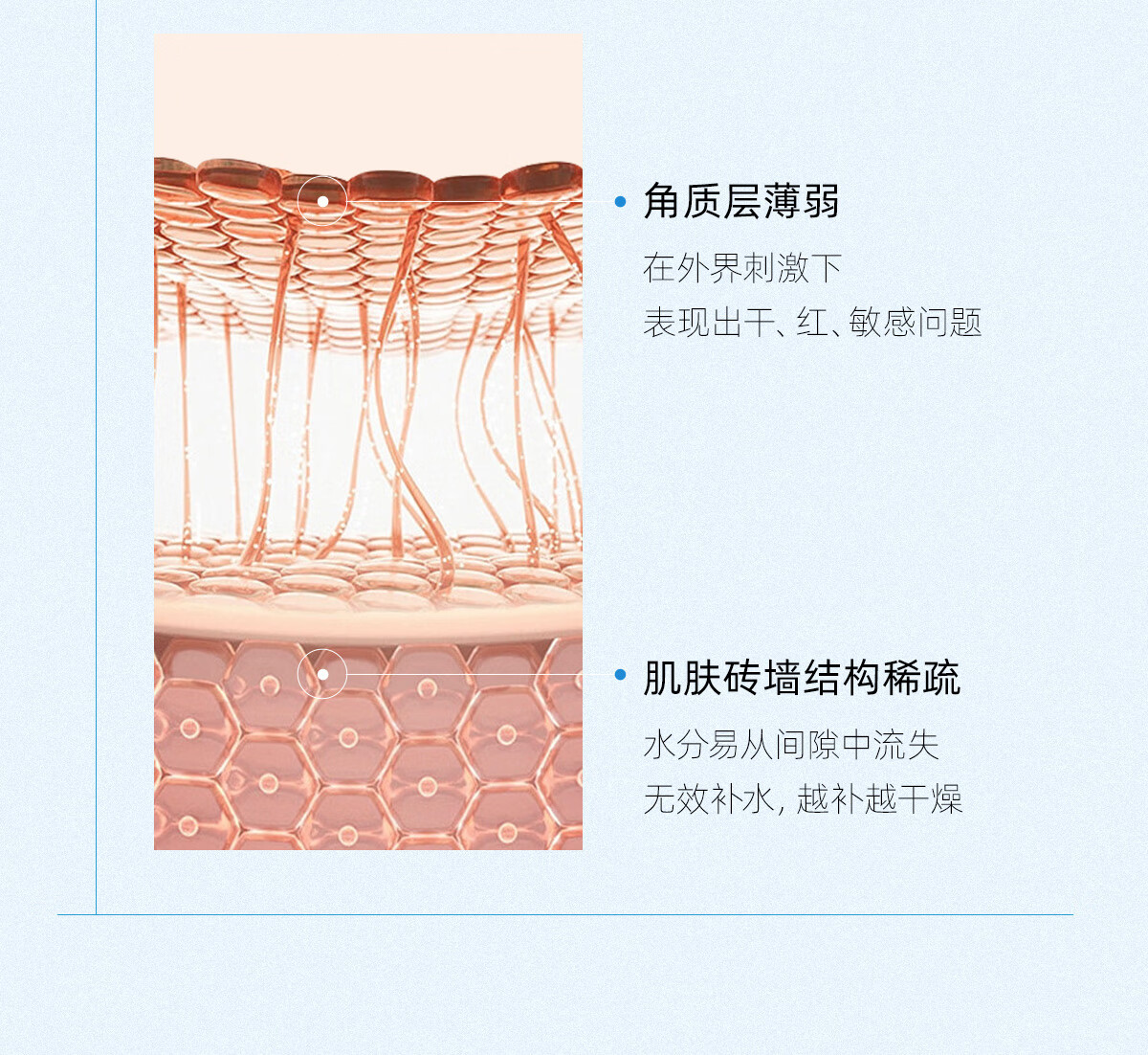 C咖解渴舒缓修护乳8g