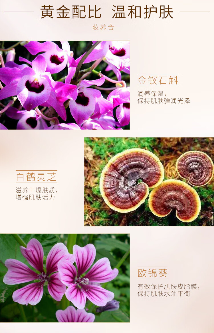 气韵百雀羚气垫 BB霜隔离粉底液修容遮瑕防汗裸妆 肌源透润气垫修容霜