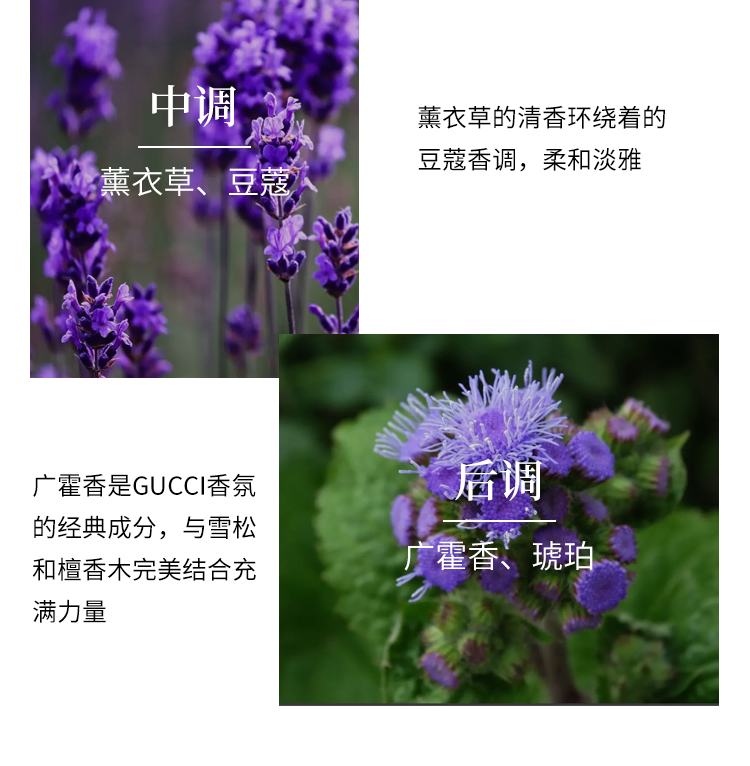 古驰罪爱男士淡香水90ml 雪松木质香调 送男友生日节日礼物