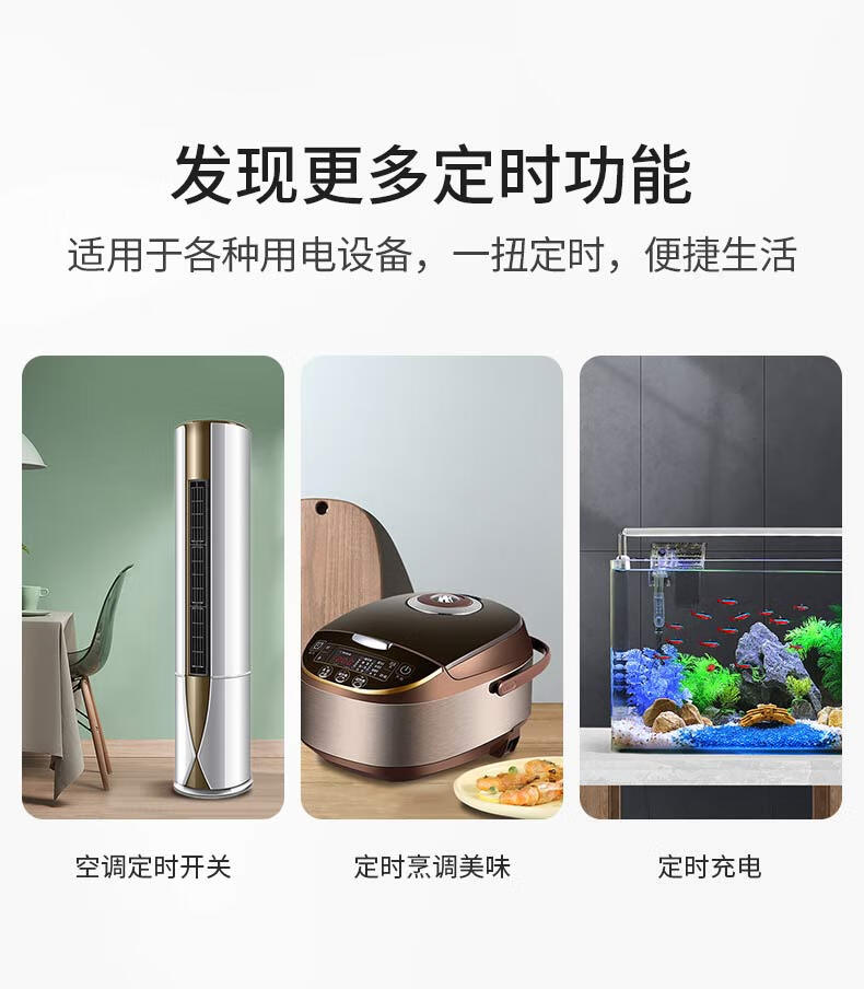 德力西（DELIXI）定时插座/定时开关 定时器排插 电动车防过充 12小时机械款 新国标电子通断电