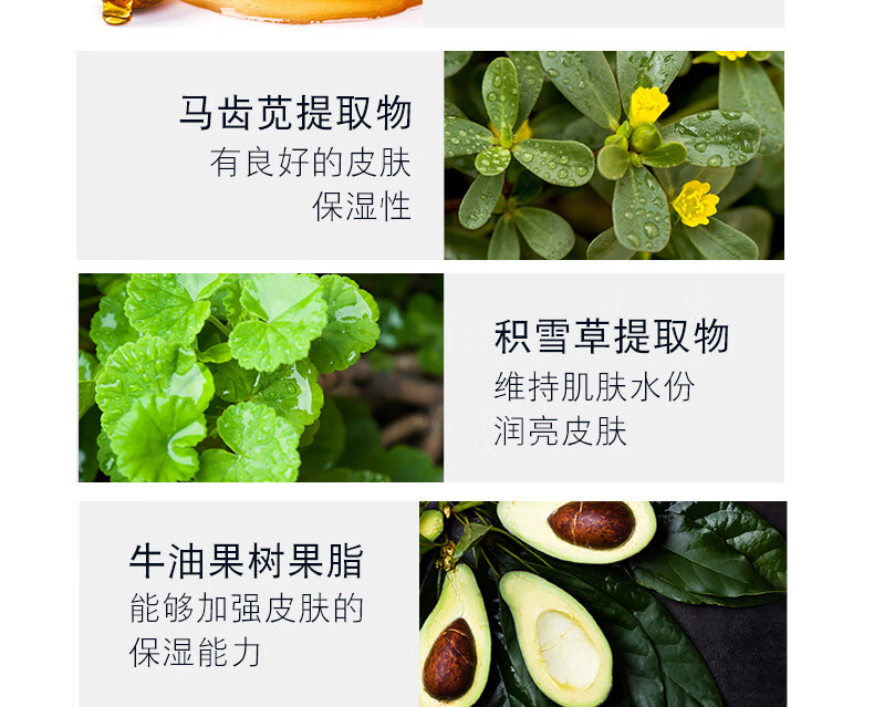 透蜜粉底液遮瑕bb霜干皮保湿油皮滋润不易脱妆定妆持久化妆品女40ml