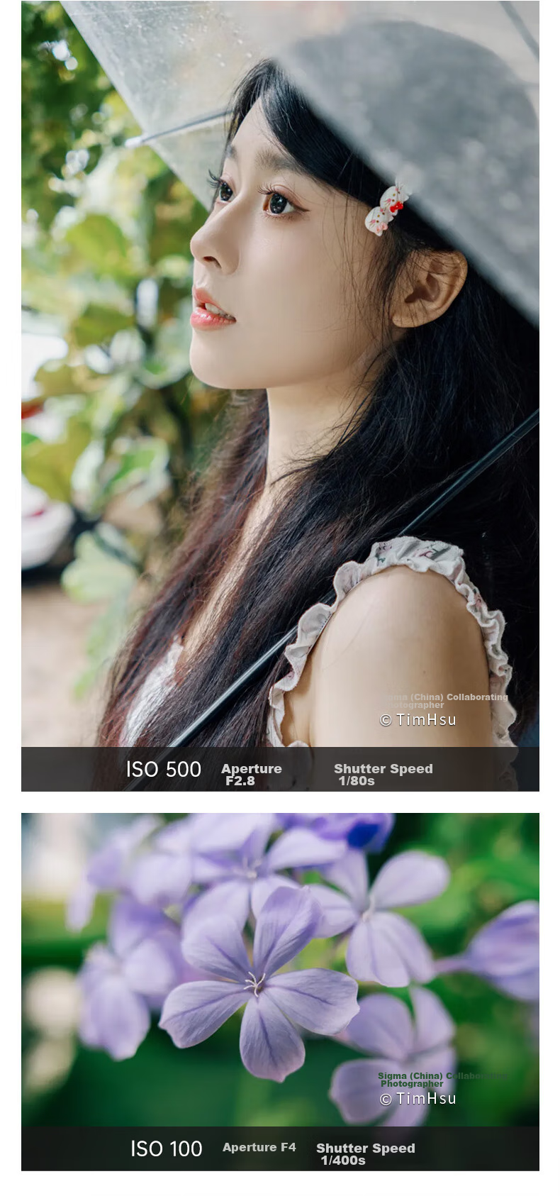 Объектив SIGMA 18-50mm F2.8 DC DN Contemporary APS-C для беззеркальных камер Canon RF
