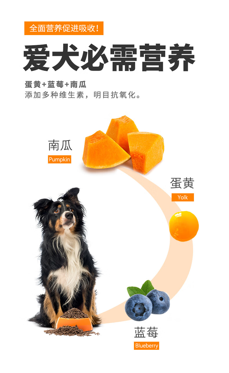 卫仕 小型犬泰迪比熊大型犬金毛拉布拉多营养通用型犬粮 卫仕京选食荟 犬粮12kg