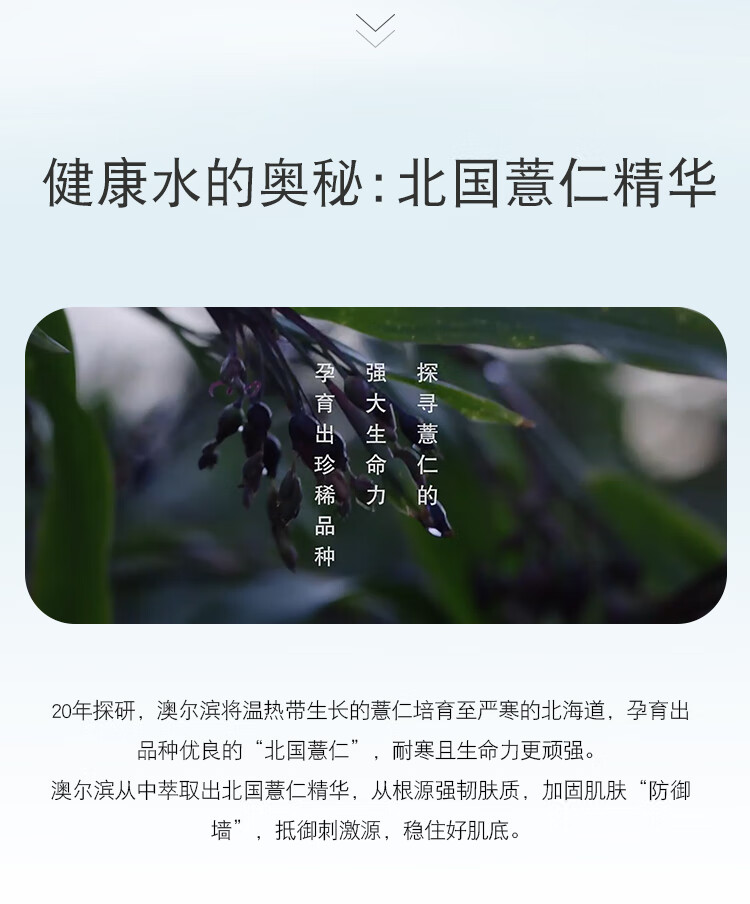 澳尔滨（ALBION）爽肤精萃液330ml礼盒 健康水爽肤水补水保湿平衡水油圣诞礼物