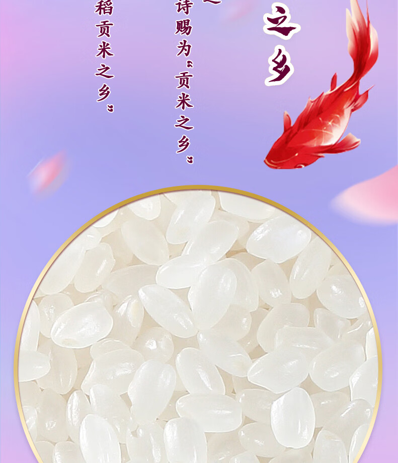 十月稻田 香稻贡米5kg 寿司香米 东北大米10斤 双层真空包装小町米