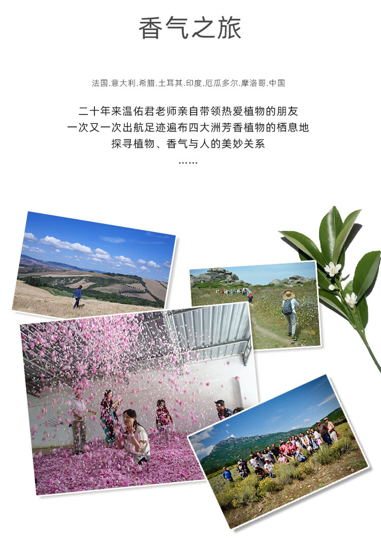 肯园Anius酒神焕肤精华油10ml酒神魔杖面部精油刮痧精华油紧实熟龄肌