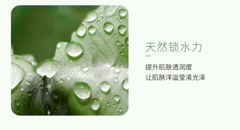 范泳辰山茶花氨基酸泡沫洗面奶温和清洁毛孔学生保湿控油男女通用洁面乳 山茶花洁面乳一瓶600ml+面膜