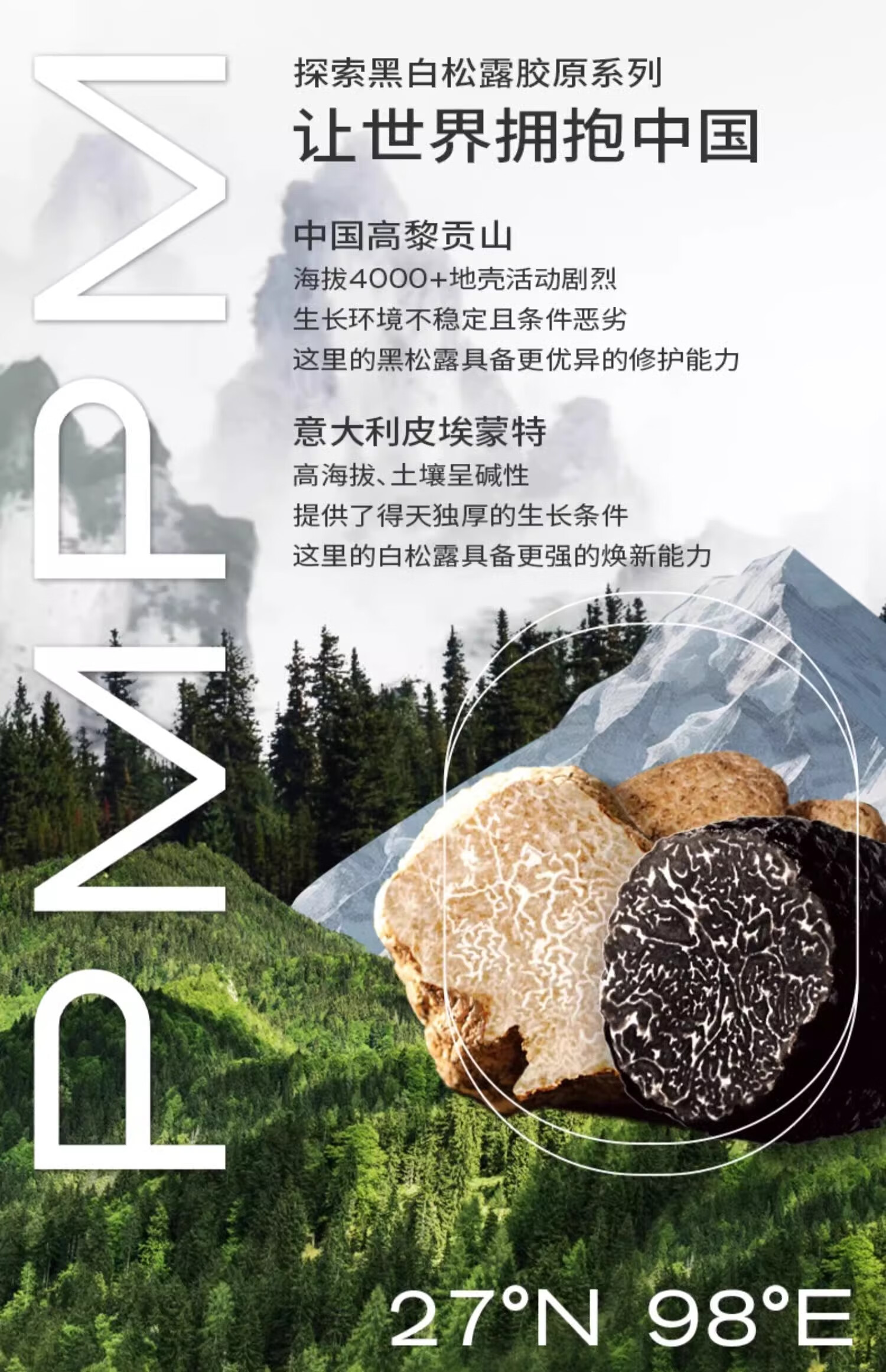 PMPM黑白松露胶原瓶2.0 10ml