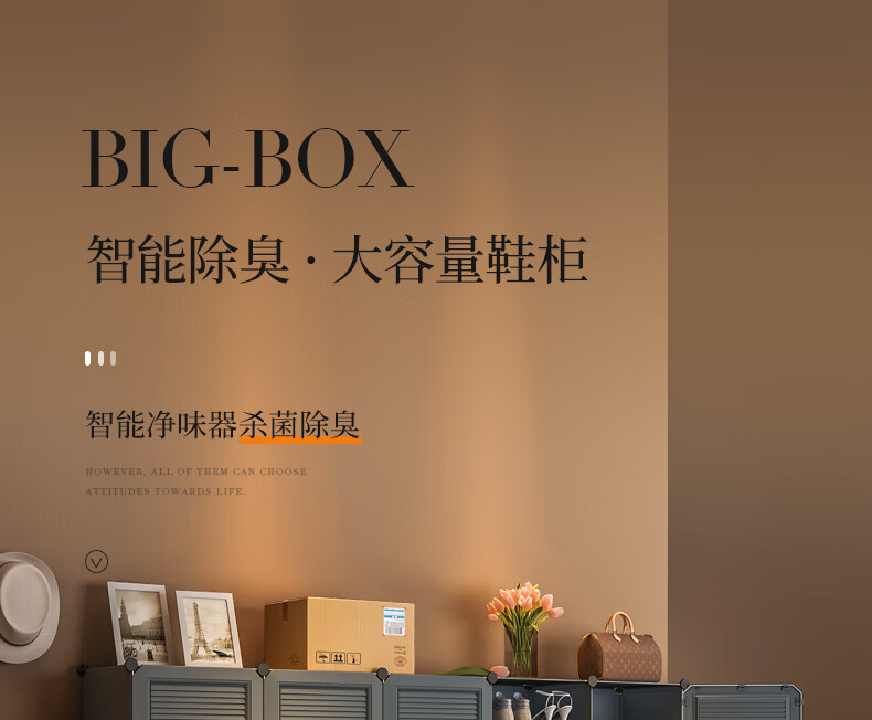 蔻丝智能鞋柜除臭大容量门口鞋架简易多层家用组合塑料鞋柜 【租房款】12格（可放靴子）