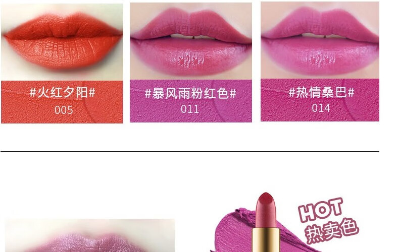 露华浓（Revlon） 口红丽采持久黑管口红滋润保湿唇膏唇乳 4.2g 006#