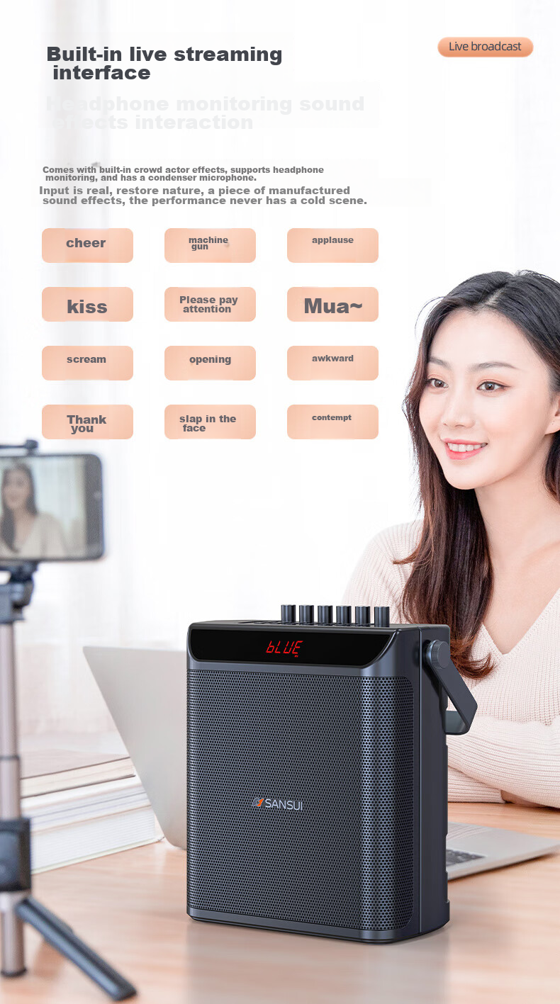 Портативная колонка SANSUI E76, 25 Вт, Bluetooth 5.0, с двумя беспроводными микрофонами, для караоке, вечеринок и выступлений