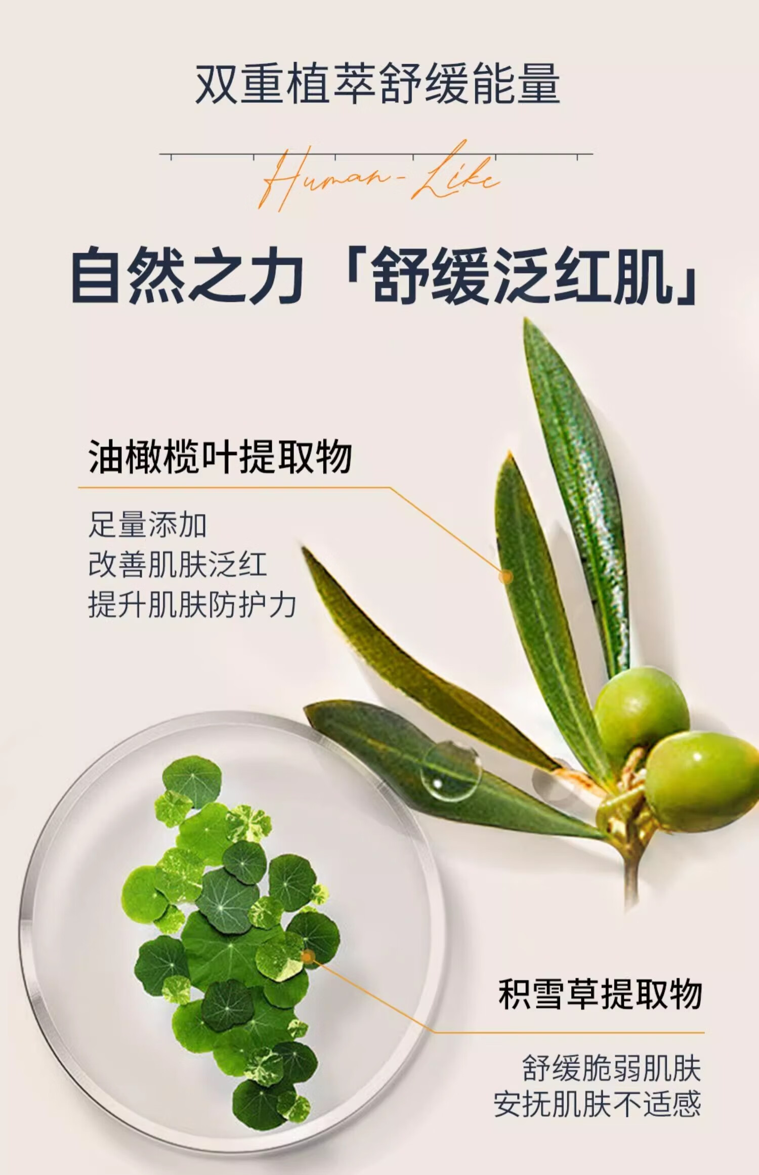 可丽金（COLLGENE）Human-like重组胶原蛋白健肤修护面膜礼物 2片