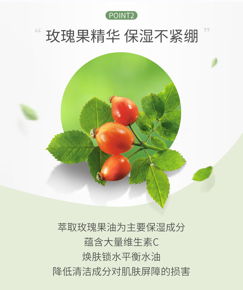 Rosette日本进口 露姬婷(Rosette)绿泥控油去黑头洗面奶120g/支 